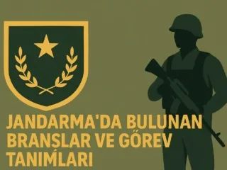 Jandarma Branşı